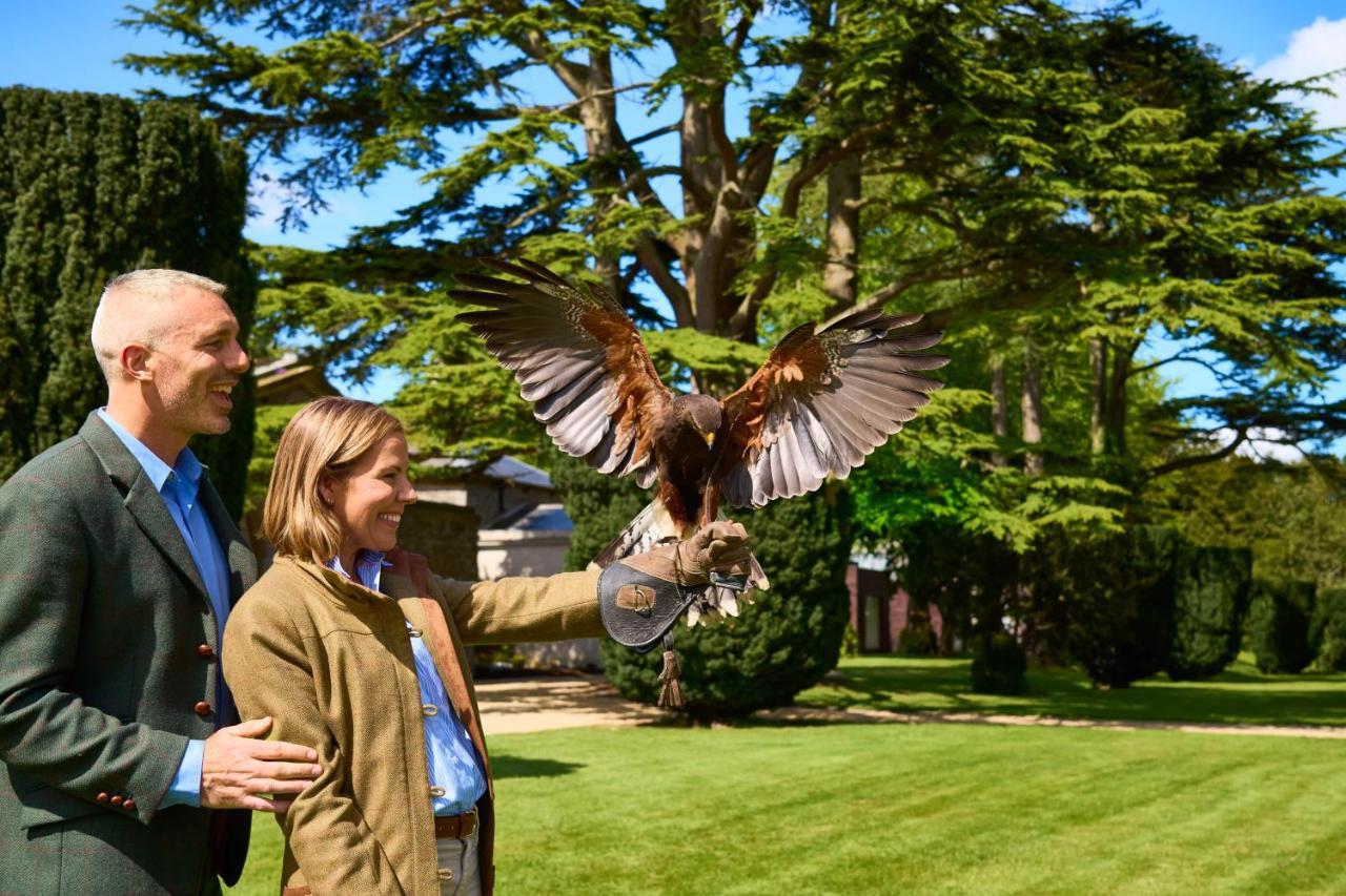 Carton House A Fairmont Managed Hotel Maynooth Ngoại thất bức ảnh Visitors at the Hawk Conservancy Trust