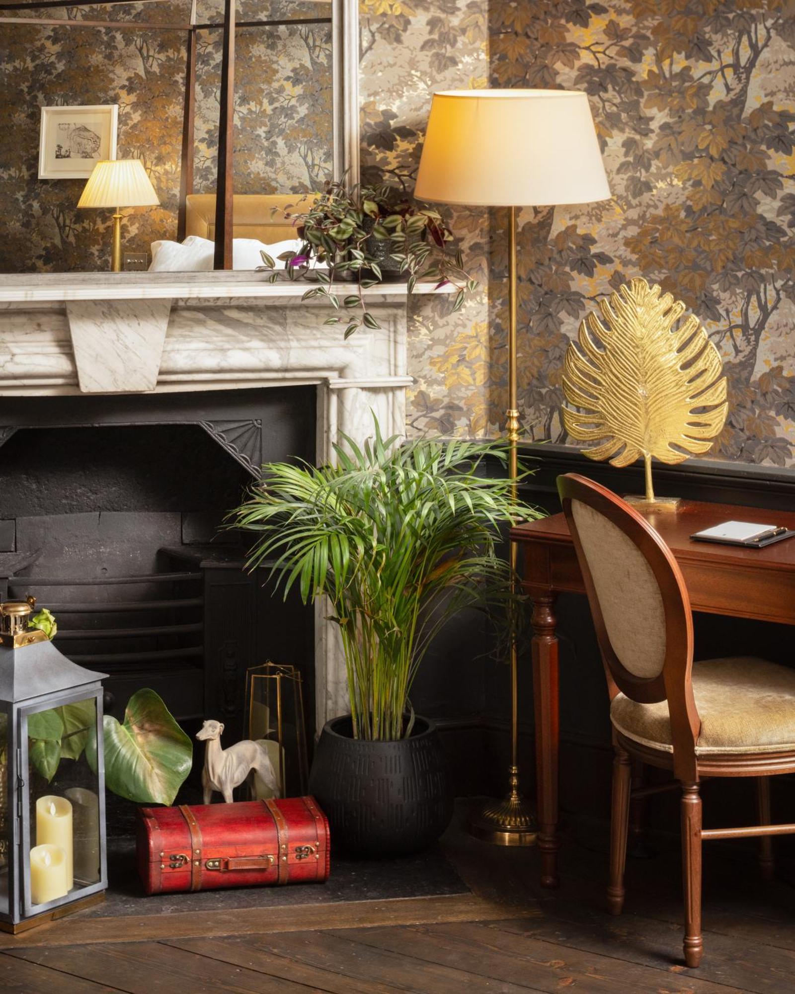 Carton House A Fairmont Managed Hotel Maynooth Ngoại thất bức ảnh A houseplant